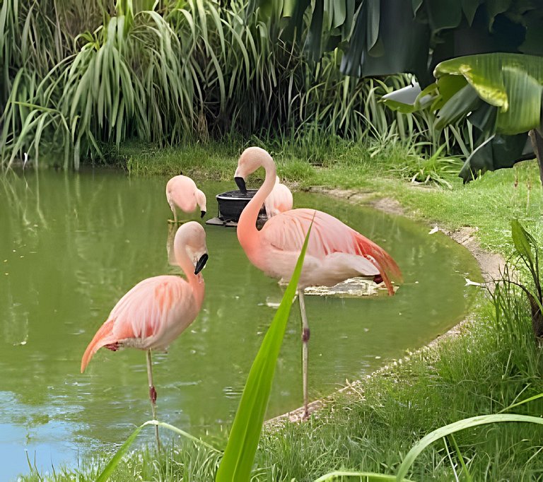 Ap 414 • Central, Piscina, Academia, Ar Cond.