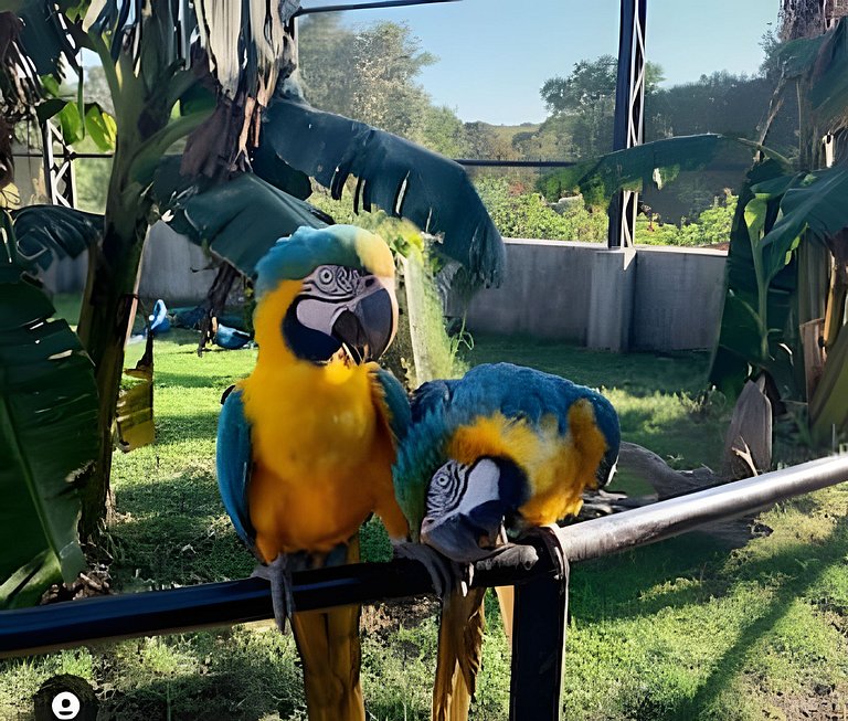 Ap 213 • Central, Piscina, Academia, Ar Cond.