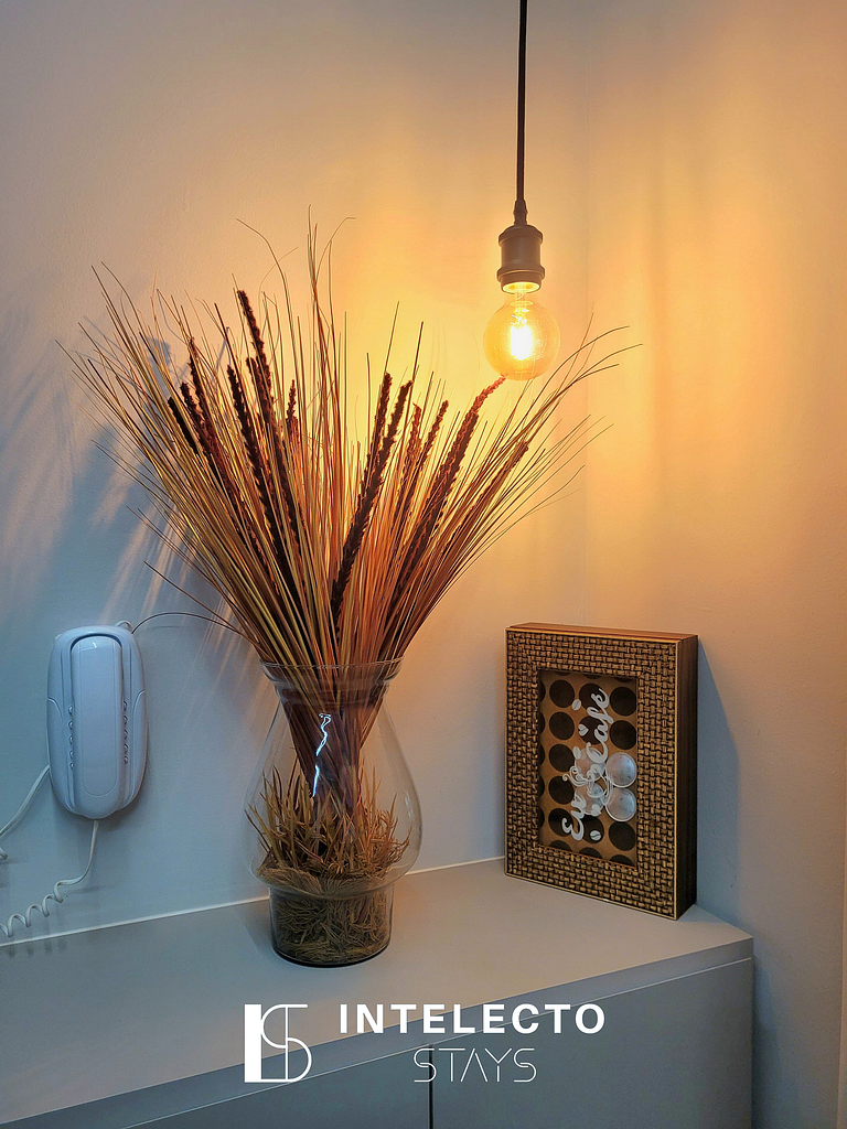 Apê Área Central, lindo, com varanda e 2 qtos