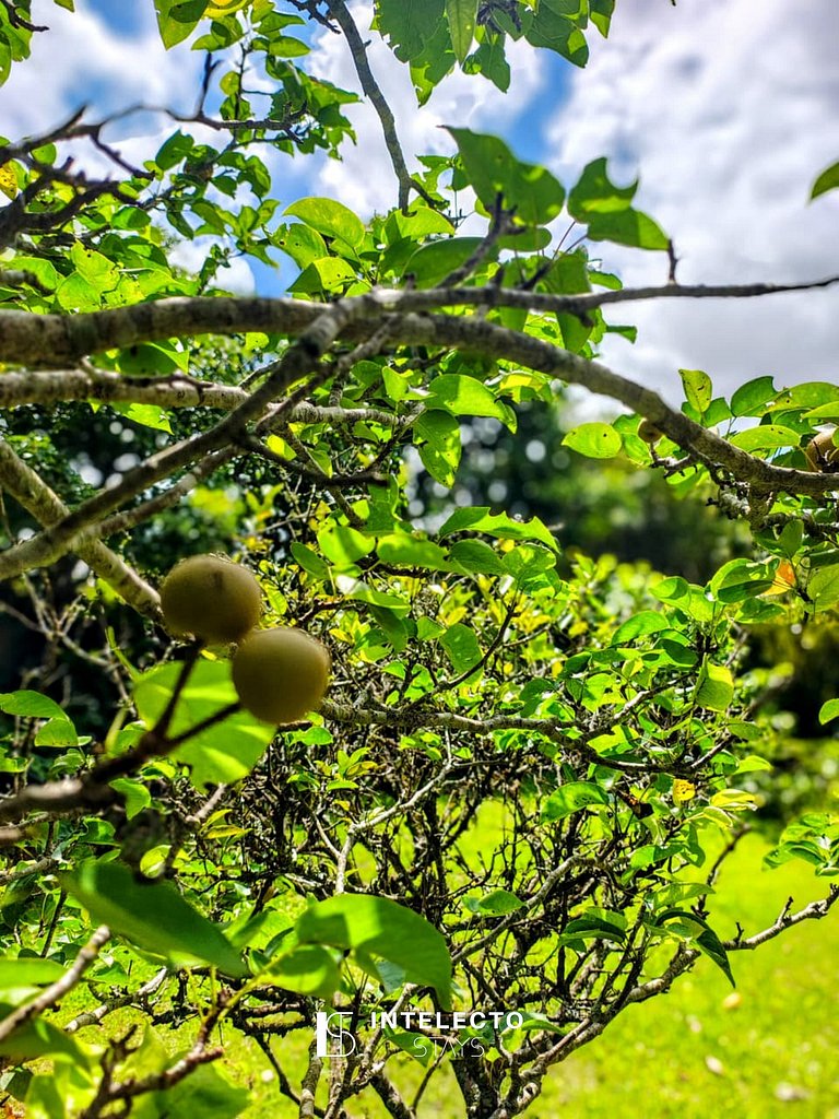 Chácara c/ Piscina, Churrasqueira com vista linda