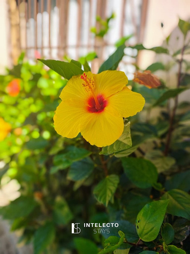 Chácara c/ Piscina, Churrasqueira com vista linda