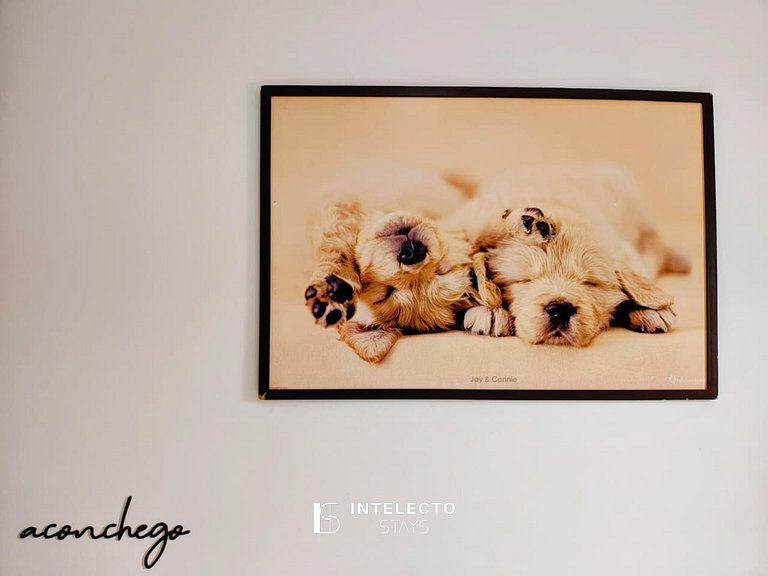 Ap307-Apê c/Piscina, varanda com Churrasq/prox PUC