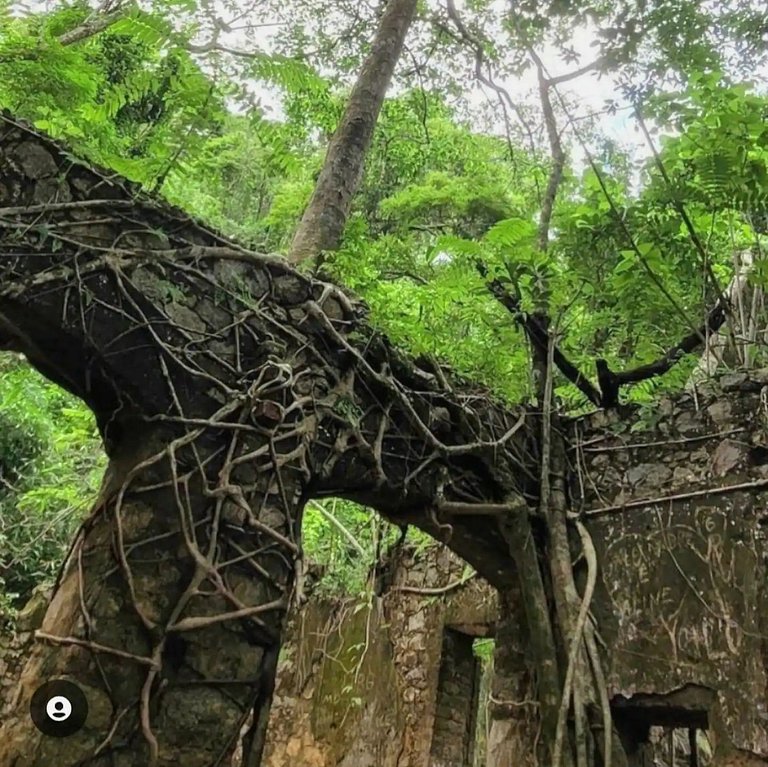 Apê espaçoso, a poucos minutos do centro