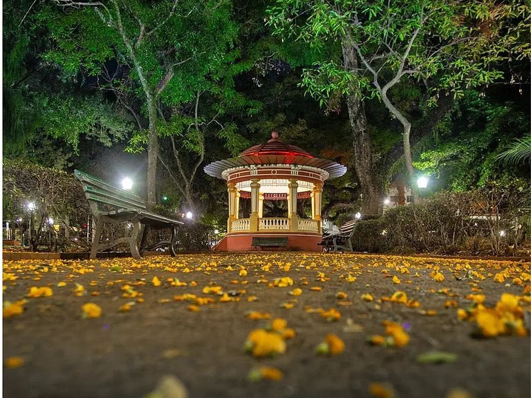 Apê espaçoso, à poucos minutos do centro
