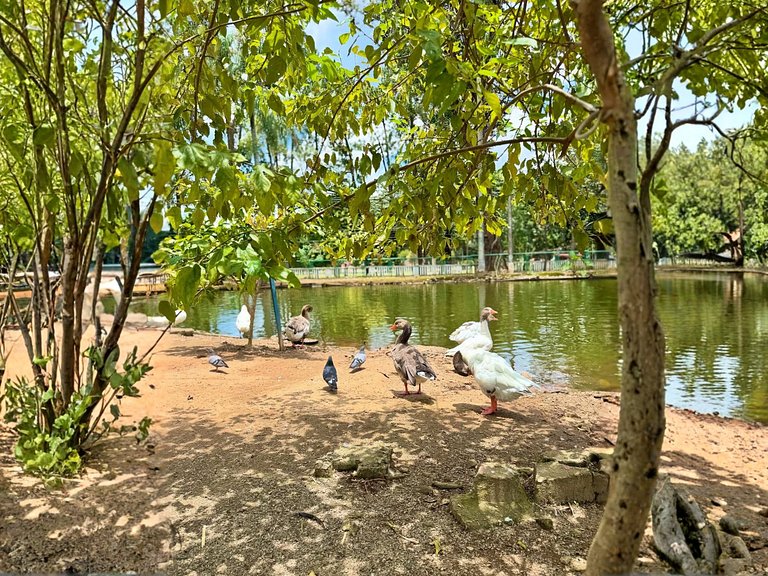 Ap312 • Central, Piscina, Acad., Ar Cond., Rooftop