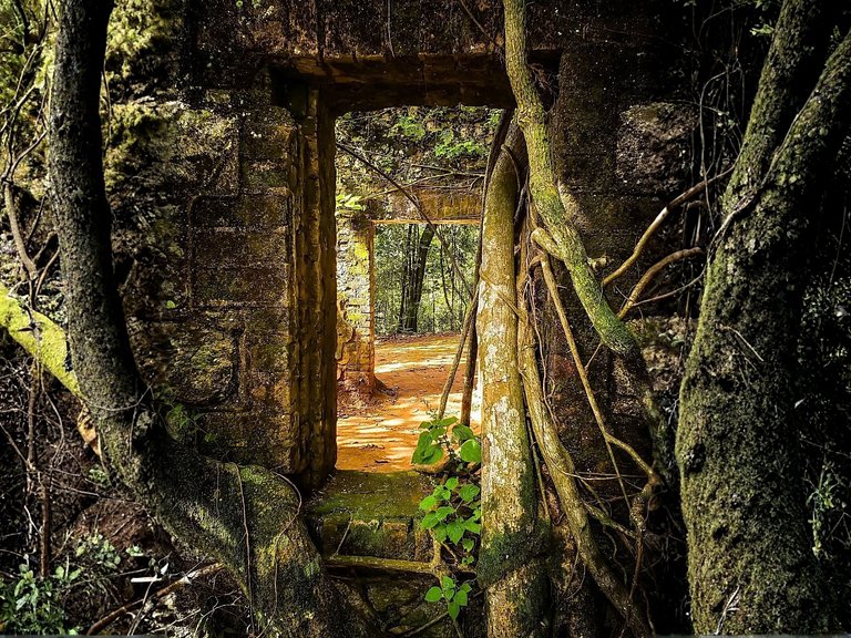 Ap 411• Central, Piscina, Academia, Ar Cond.