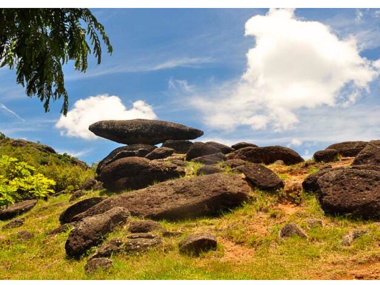 Ap 210 • Central, Pisc, jacuzzi Academia, Ar Cond.