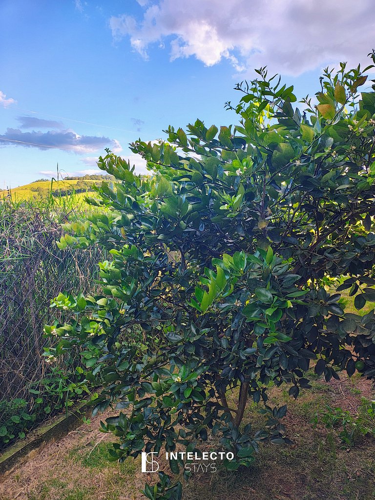 Chácara aconchegante c/piscina e churrasqueira