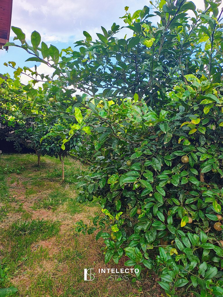 Chácara aconchegante c/piscina e churrasqueira