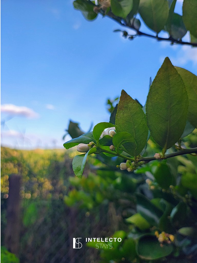 Chácara c/piscina churrasq/forno fogão de lenha