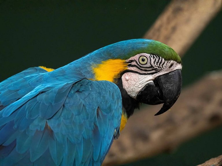 Apê 24 •Central, Jacuzzi, Academia, A/C, Vista Top