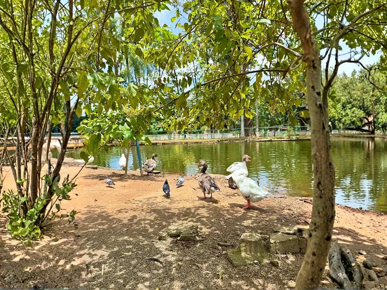 Ap 401• Central, Piscina, Academia, Ar Cond.